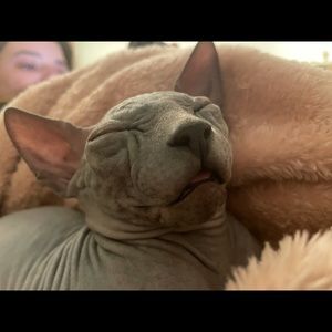 Meet your Posher, Abraham